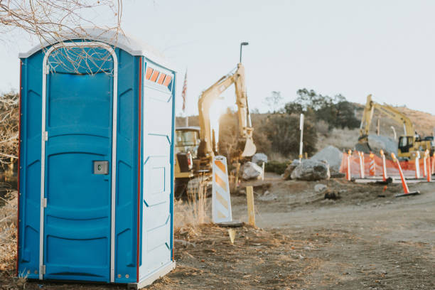 Best Sanitation services for porta potties  in Galena, IL